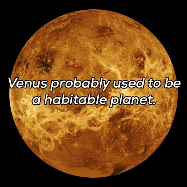 Interesting Facts (20 pics)