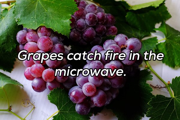 Interesting Facts (20 pics)