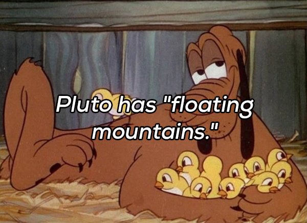 Interesting Facts (20 pics)