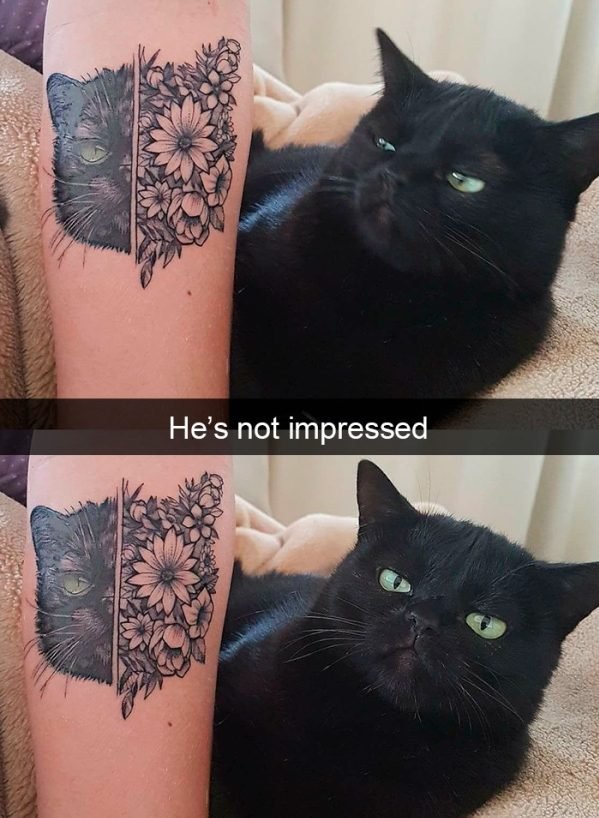 When You Have A Cat (32 pics)
