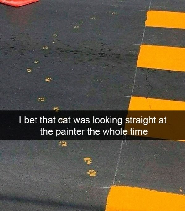When You Have A Cat (32 pics)