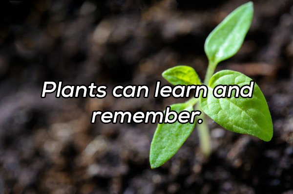 Interesting Facts (20 pics)