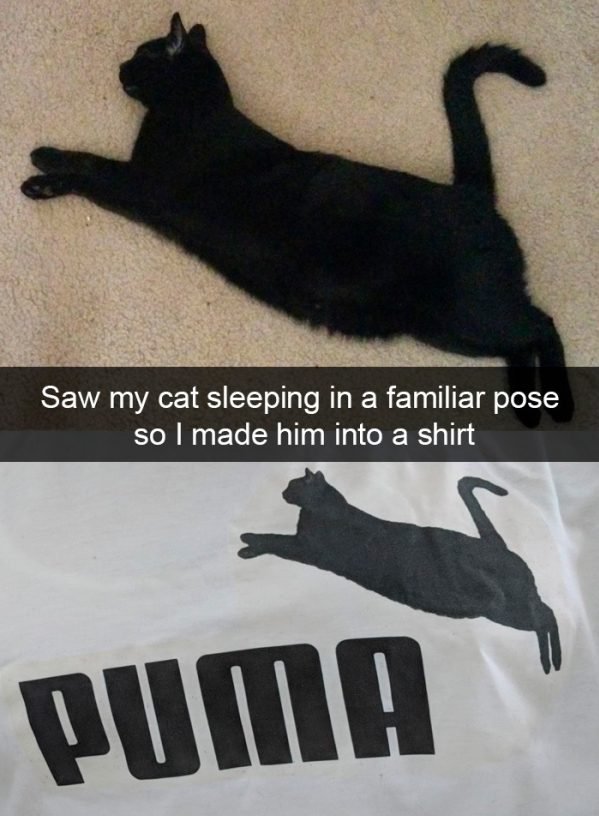When You Have A Cat (32 pics)