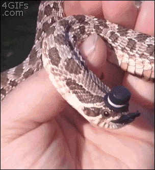 Acid Gifdump, November 29 (25 gifs)
