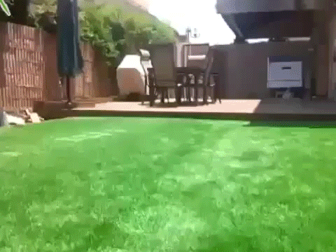 Acid Gifdump, November 29 (25 gifs)