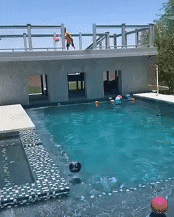 Acid Gifdump, November 29 (25 gifs)