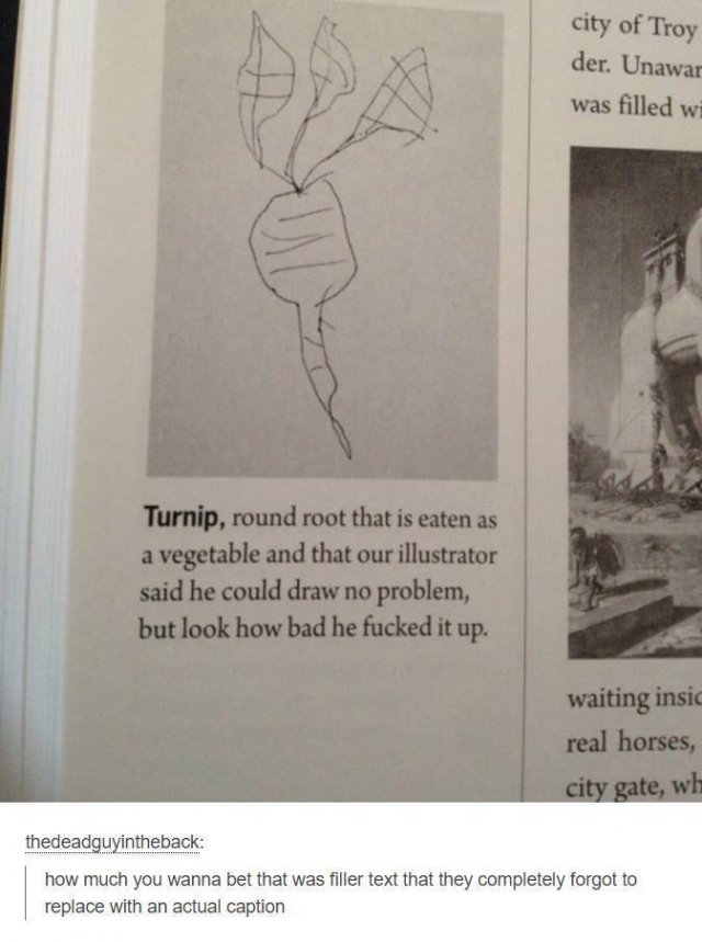 Acid Picdump, Part 2 (116 pics)