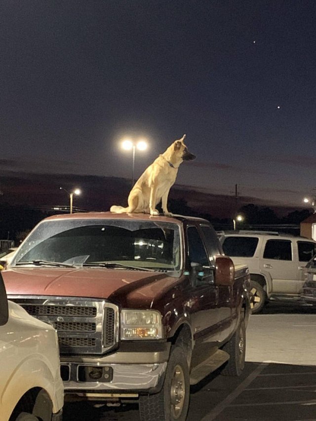Acid Picdump, Part 2 (116 pics)