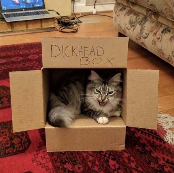 Acid Picdump, Part 2 (116 pics)