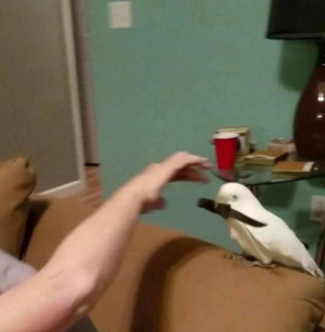 Acid Picdump, Part 2 (116 pics)