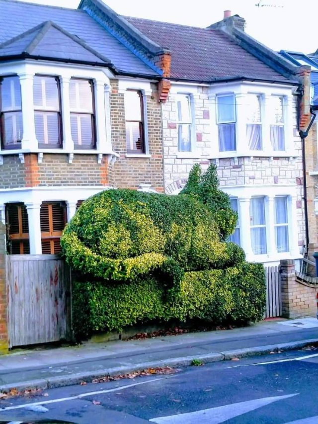 Acid Picdump, Part 2 (116 pics)