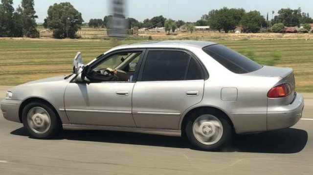 Strange Vehicles (44 pics)
