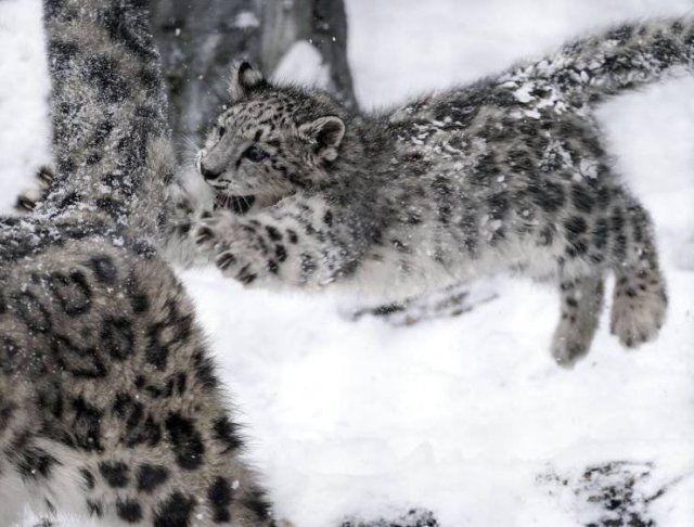 More Than Just Photos (56 pics)
