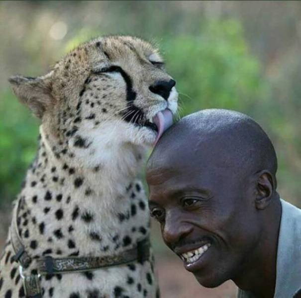 More Than Just Photos (56 pics)
