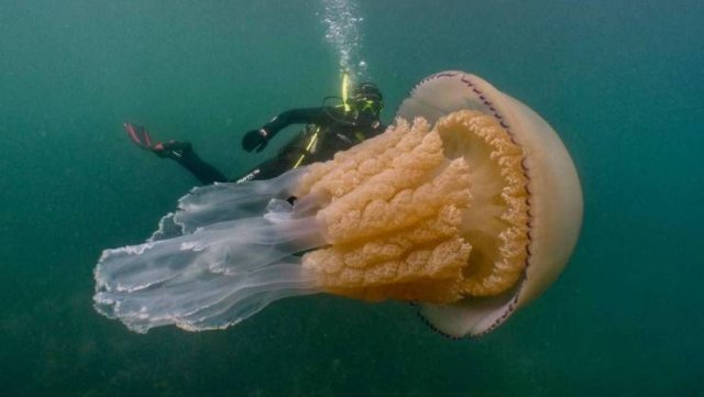 More Than Just Photos (56 pics)