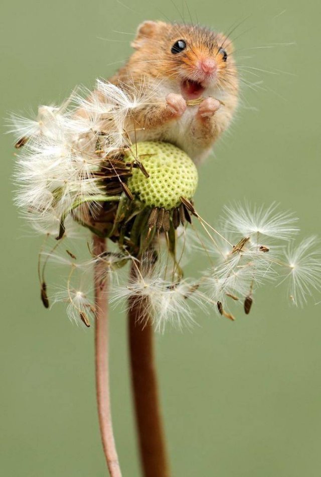 More Than Just Photos (56 pics)