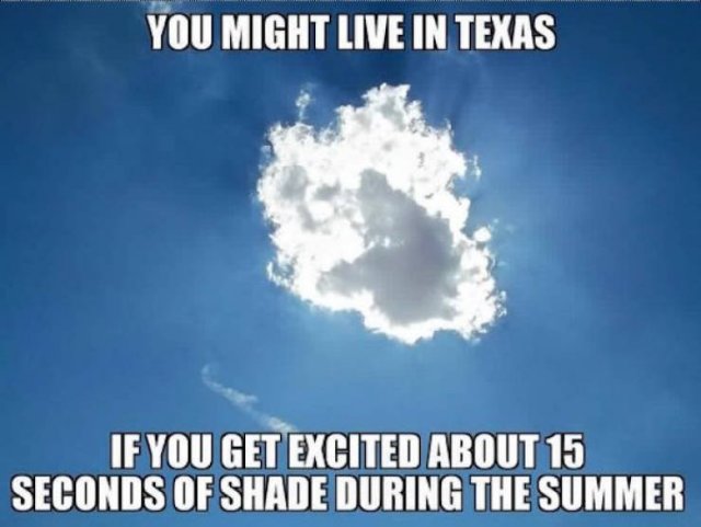 Texas Memes (53 pics)