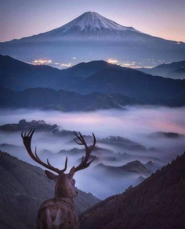 More Than Just Photos (56 pics)