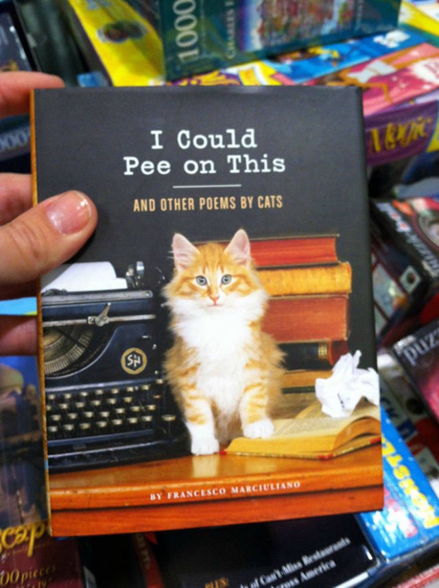 Strange Books From Amazon (21 pics)