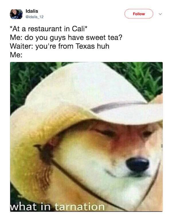 Texas Memes (53 pics)