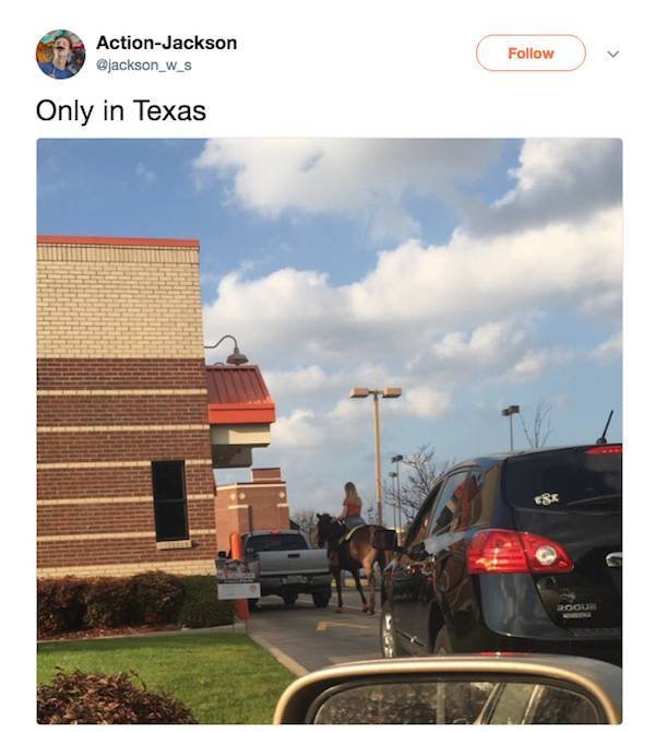 Texas Memes (53 pics)