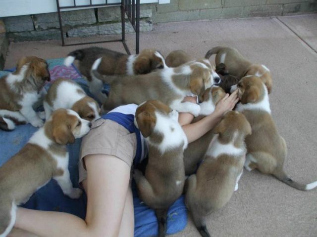 More Than Just Photos (56 pics)