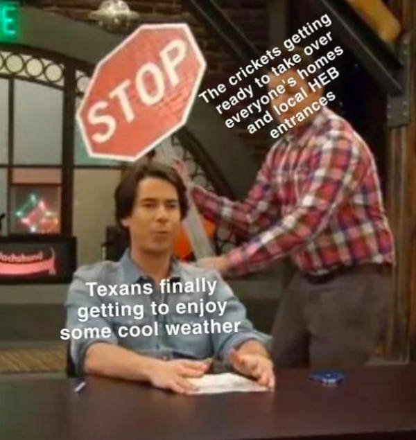 Texas Memes (53 pics)