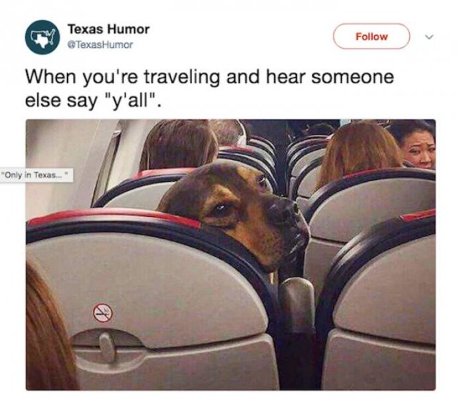 Texas Memes (53 pics)