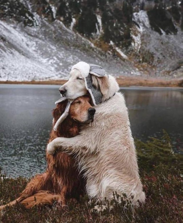 More Than Just Photos (56 pics)