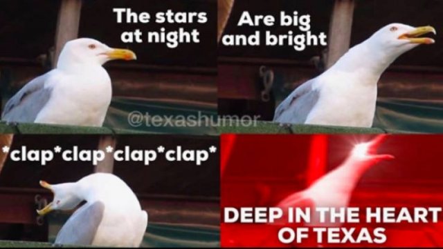 Texas Memes (53 pics)