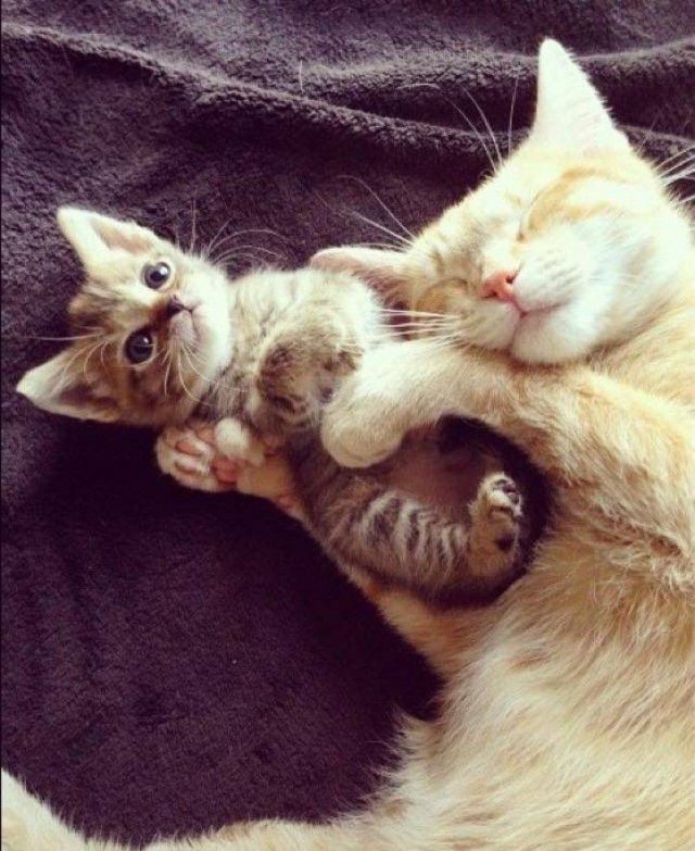 More Than Just Photos (56 pics)