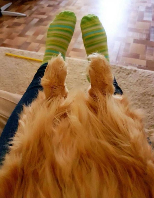 More Than Just Photos (56 pics)