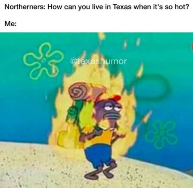 Texas Memes (53 pics)