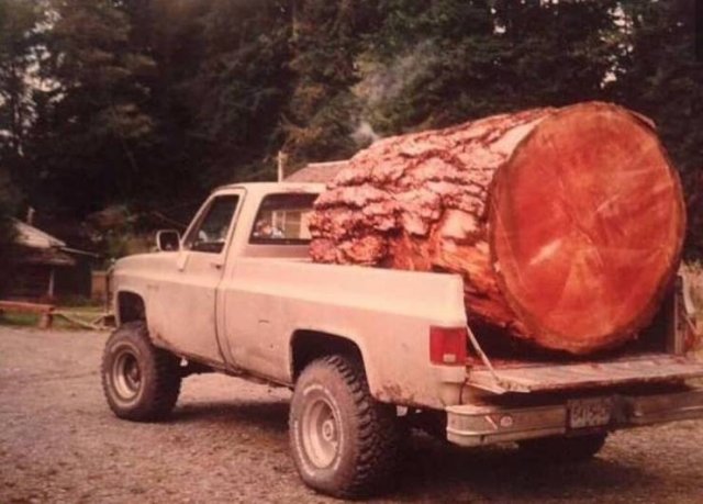 Strange Vehicles (44 pics)