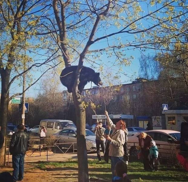 Welcome To Russia (41 pics)