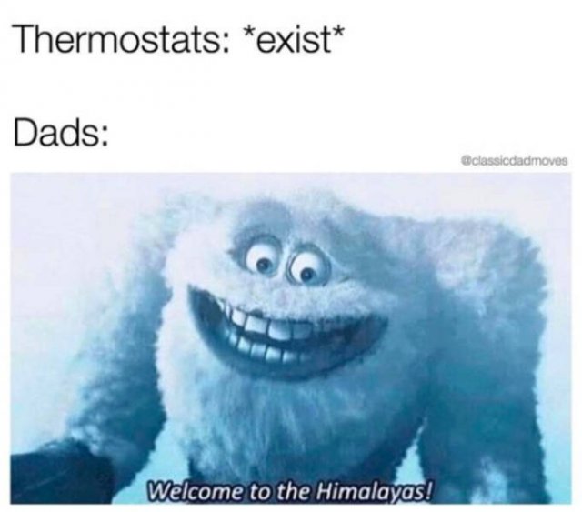 Funny Dad Memes (29 pics)