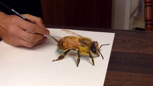 Incredible 3D Optical Illusion Drawings (48 pics)