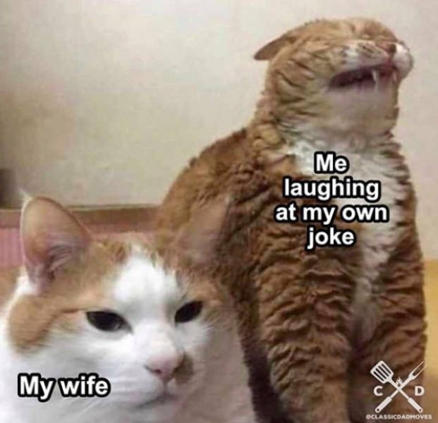 Funny Dad Memes (29 pics)