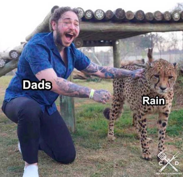 Funny Dad Memes (29 pics)