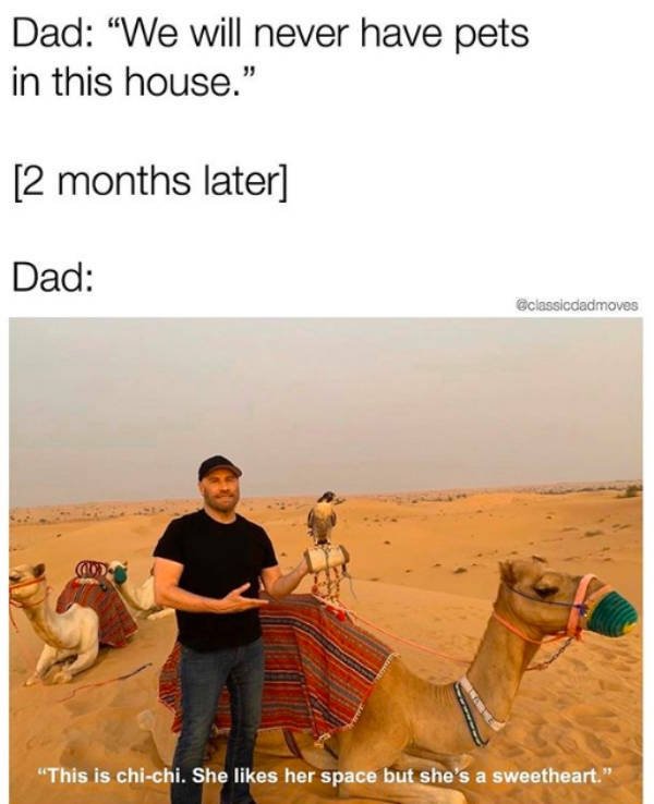 Funny Dad Memes (29 pics)