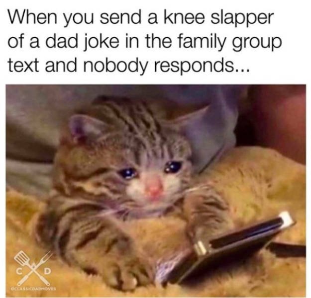 Funny Dad Memes (29 pics)