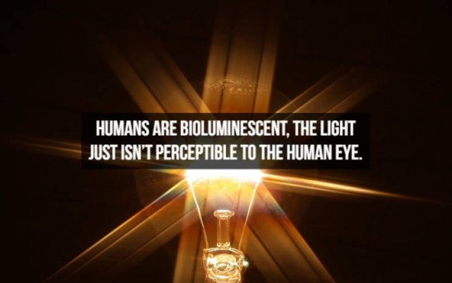 Interesting Facts About People (23 pics)