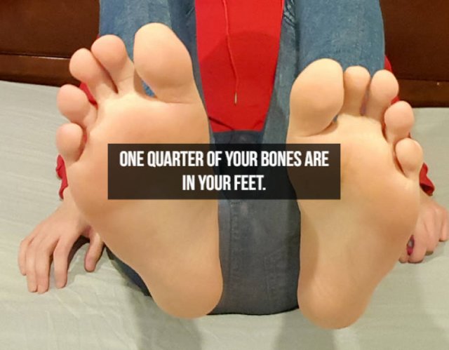 Interesting Facts About People (23 pics)