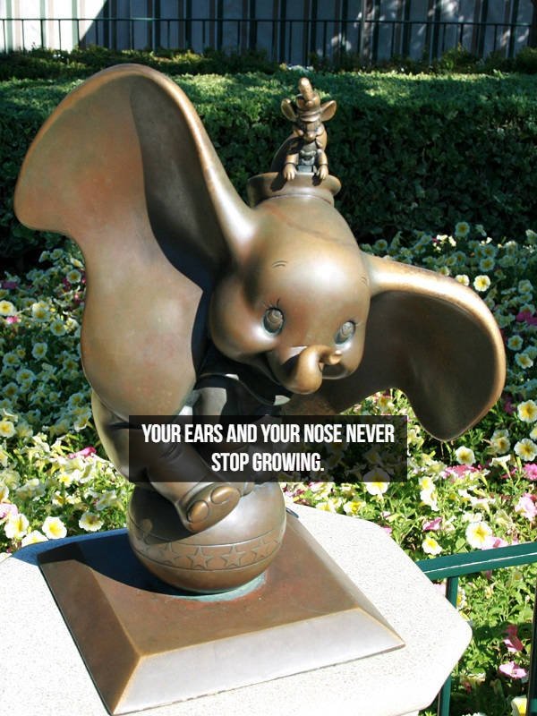 Interesting Facts About People (23 pics)