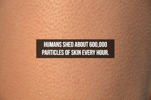 Interesting Facts About People (23 pics)