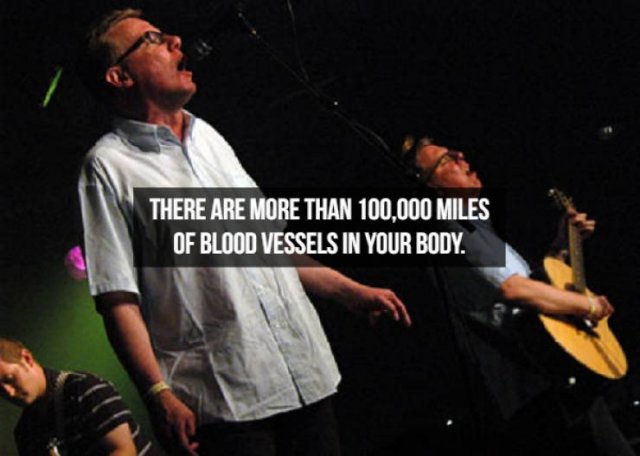 Interesting Facts About People (23 pics)