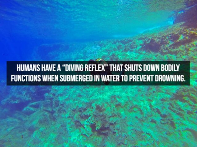 Interesting Facts About People (23 pics)