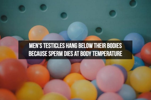 Interesting Facts About People (23 pics)