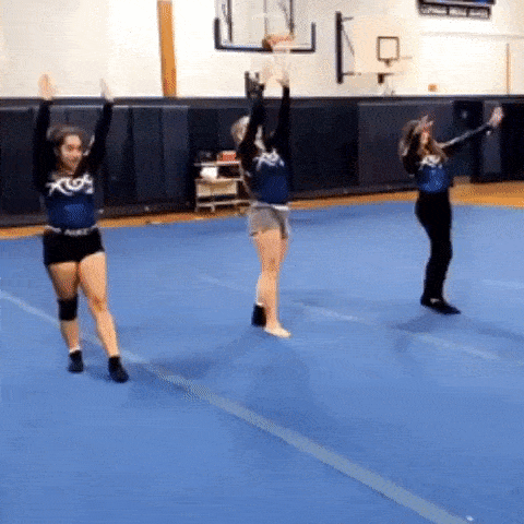Epic Fails (18 gifs)