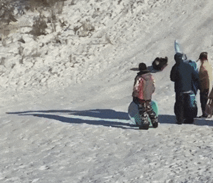 Epic Fails (18 gifs)